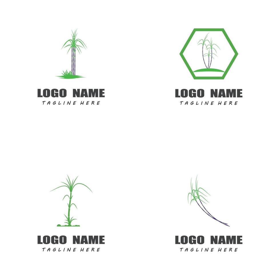 plantillas de logotipo de caña de azúcar vector