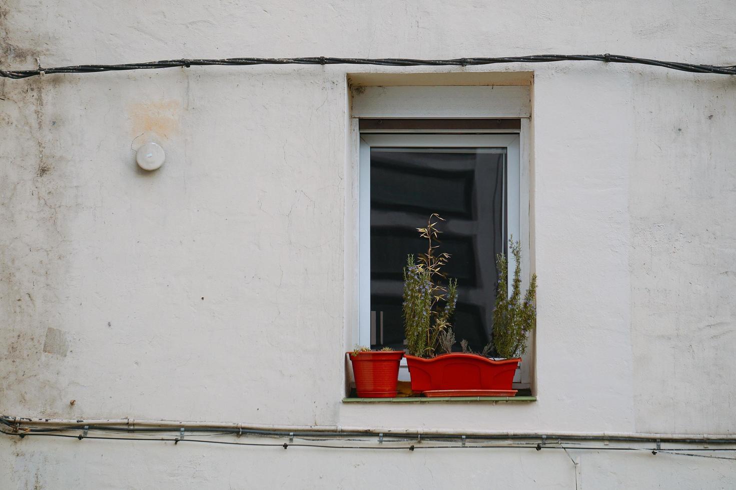 Ventanas en la fachada blanca de la casa. foto