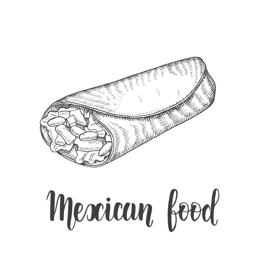 Mexican Food. Hand drawn monochrome burrito in sketch style isolated on white. Hand made lettering. Vector illustration for menu designs.