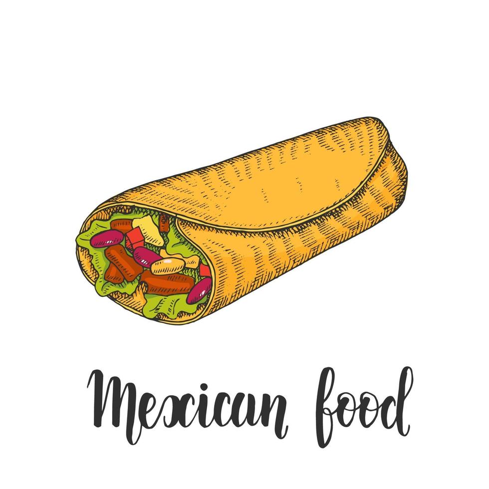 Mexican Food. Hand drawn colored burrito in sketch style isolated on white. Hand made lettering. Vector illustration for menu designs.