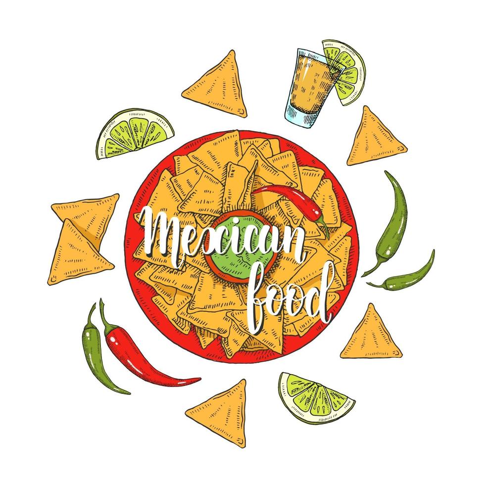 comida mexicana. nachos de colores dibujados a mano, ají, lima, jalapeños, tequila en estilo boceto en blanco. letras hechas a mano. ilustración para diseños de menú. vector