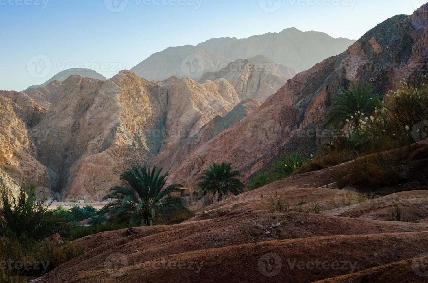 Mountain landscape with palm trees photo