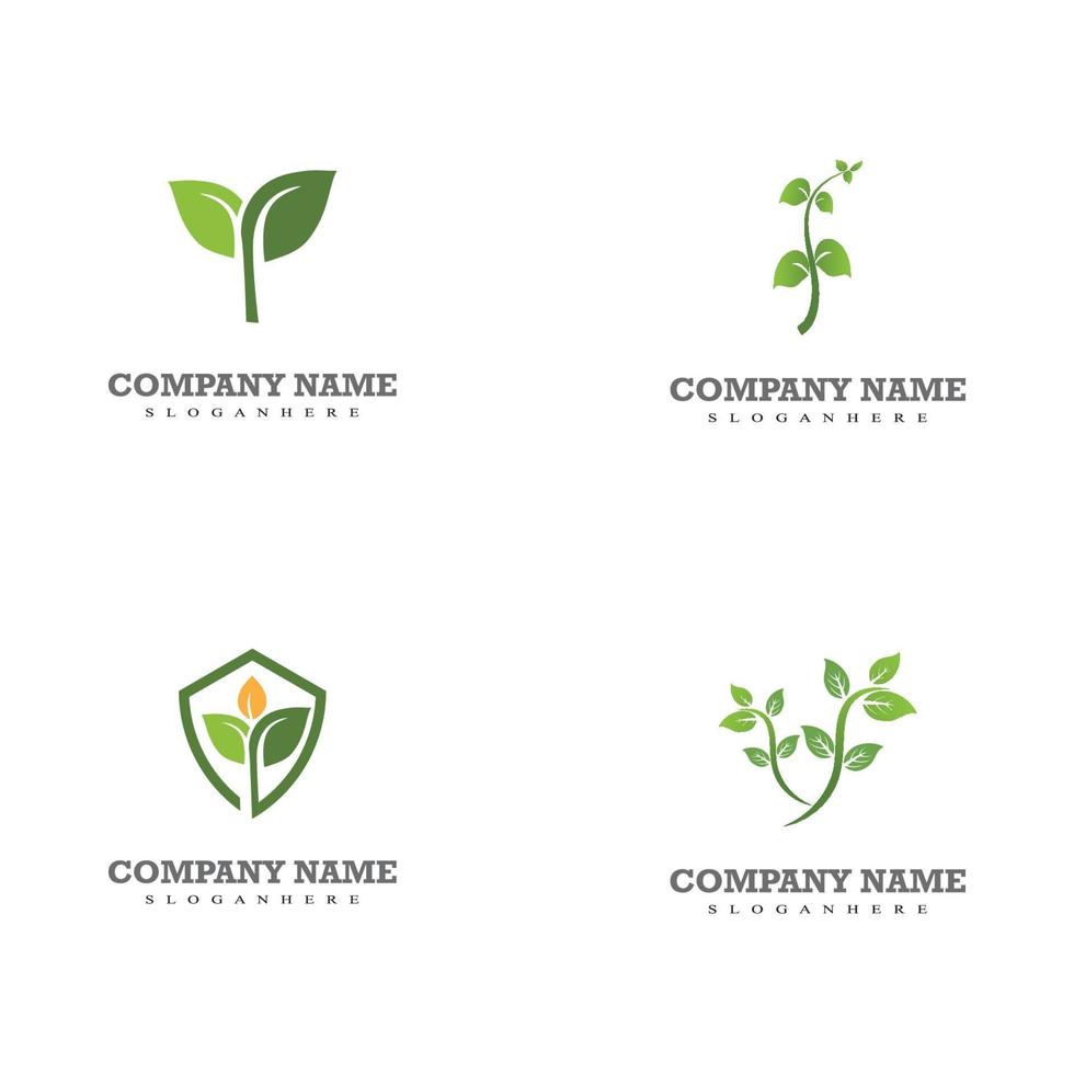 Green nature leaf logo templates vector