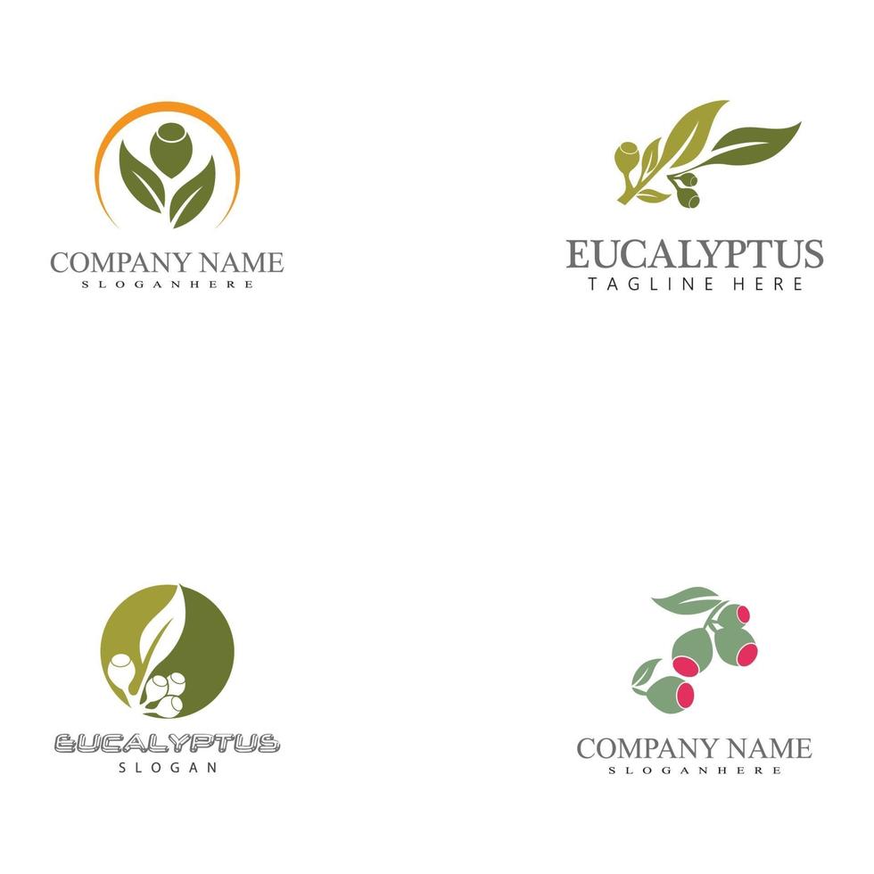 Eucalyptus leaves logo templates vector