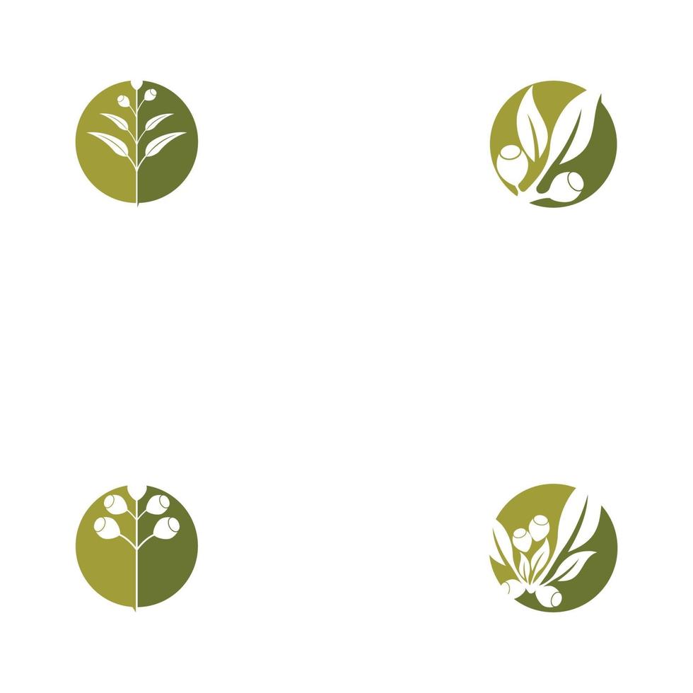 Eucalyptus leaves logo templates vector