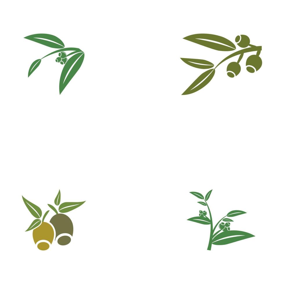 Eucalyptus leaves logo templates vector