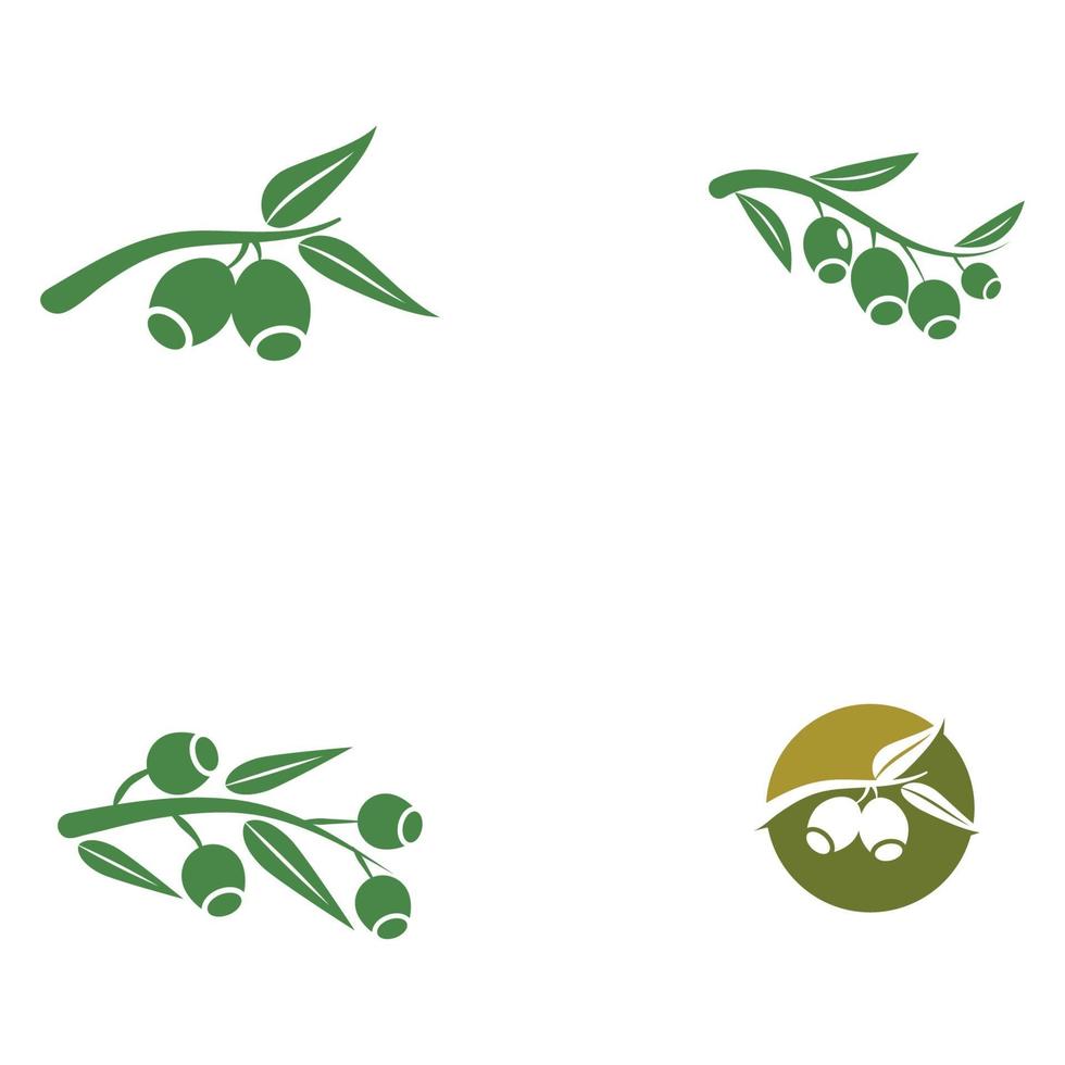 Eucalyptus leaves logo templates vector
