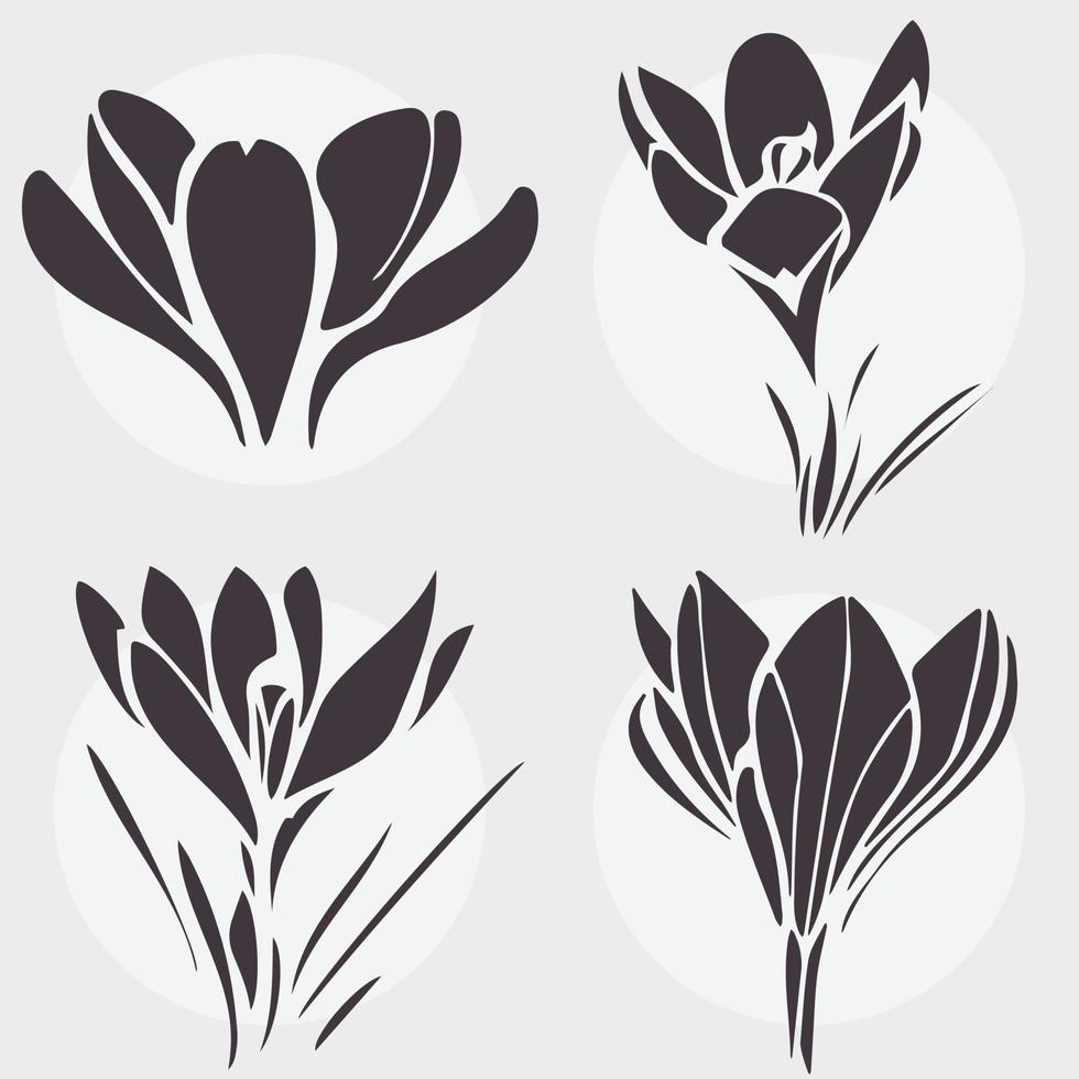 set of black and white flowers, crocus, spring flowers vector