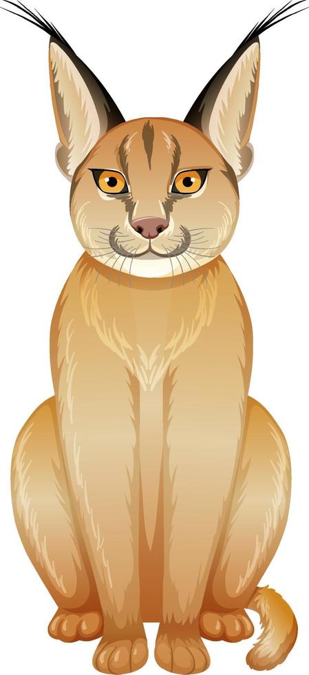 gato caracal sobre fondo blanco vector