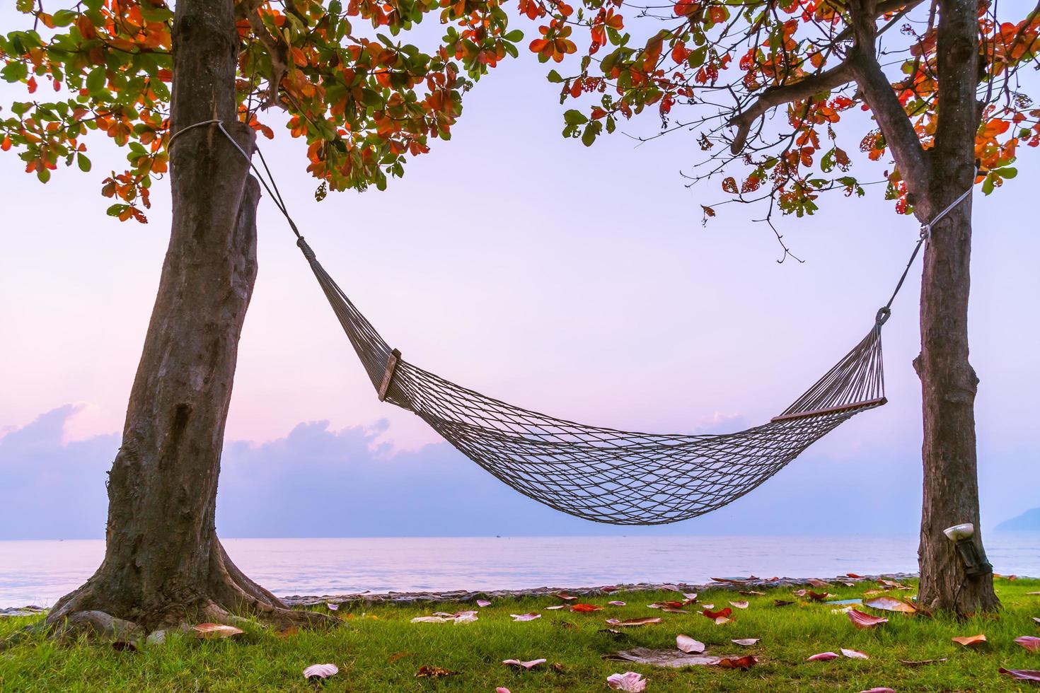 Hammock on the beach and sea photo