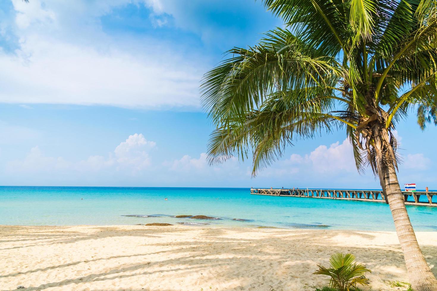 Beautiful tropical beach and sea photo