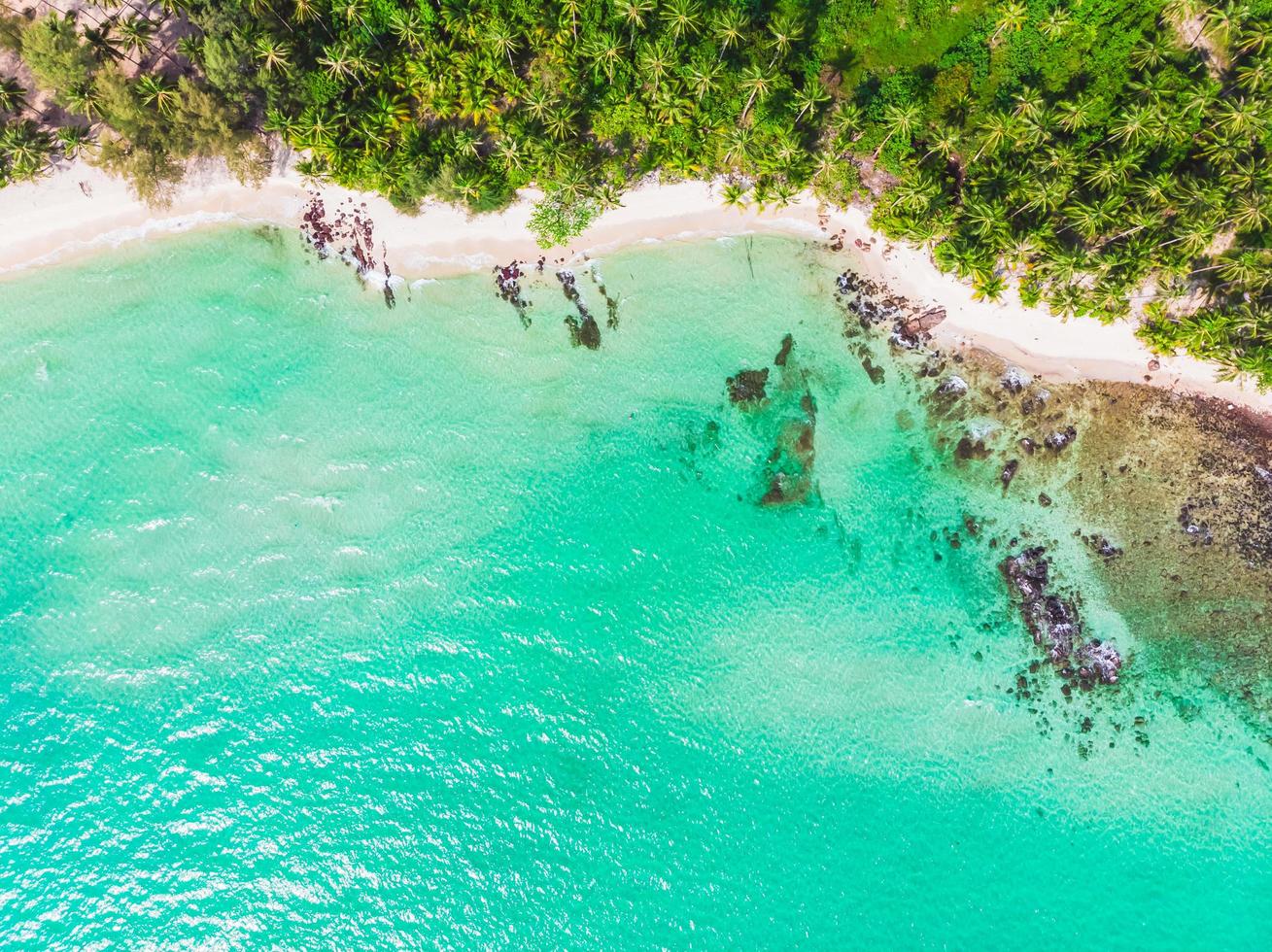 Aerial view of beautiful beach and sea with coconut palm tree photo