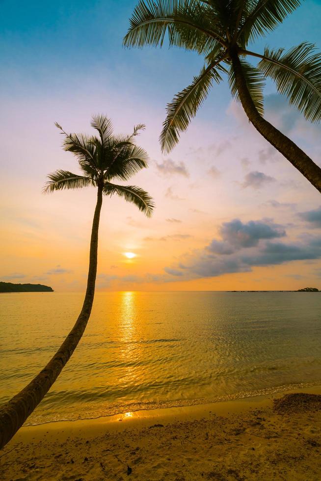 hermosa isla paradisíaca con playa y mar alrededor de palmera de coco foto