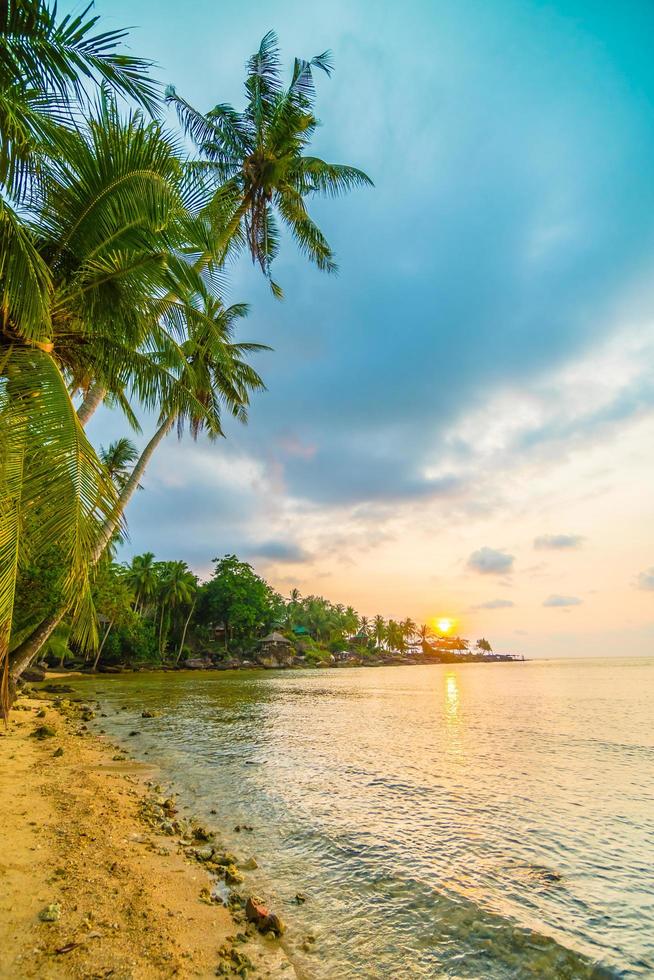 Beautiful paradise island with beach and sea around coconut palm tree photo