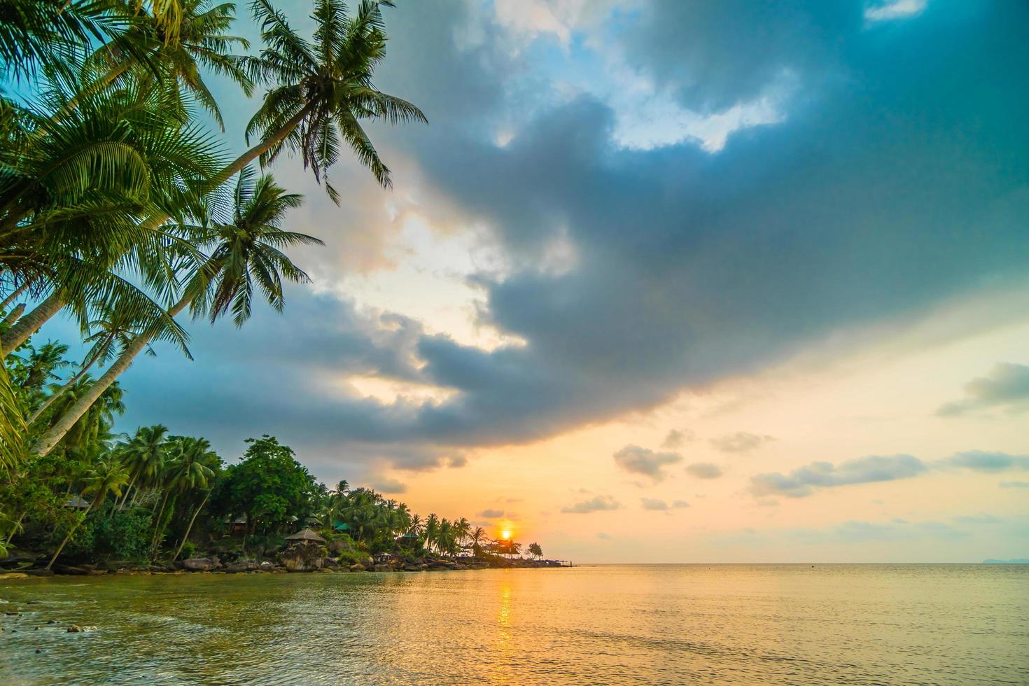 Beautiful paradise island with beach and sea around coconut palm tree photo