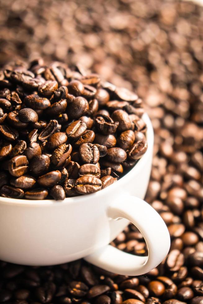 Brown coffee beans in white cup photo