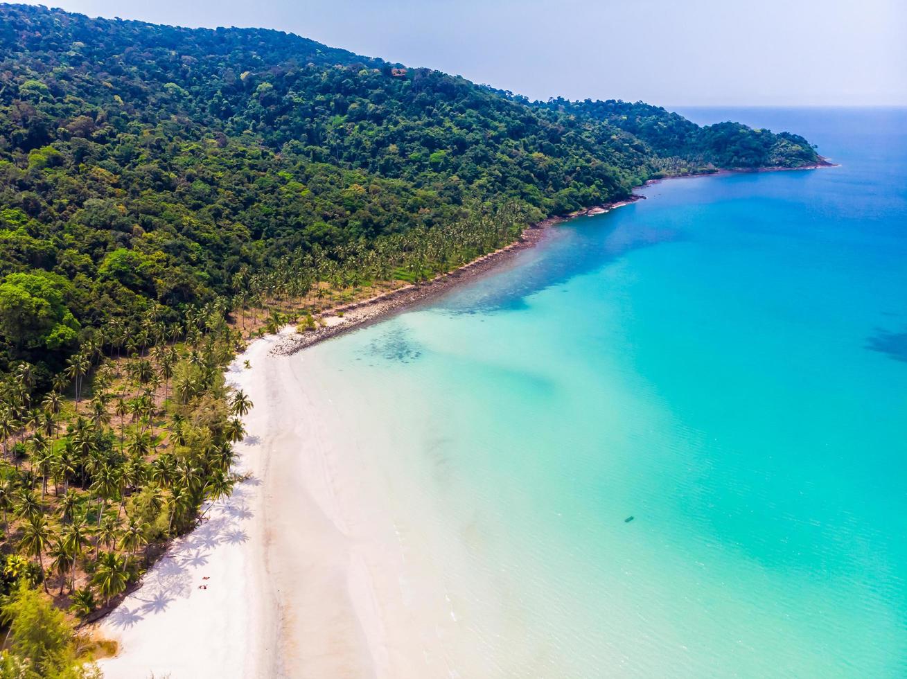 Beautiful Aerial view of beach and sea with coconut palm tree photo