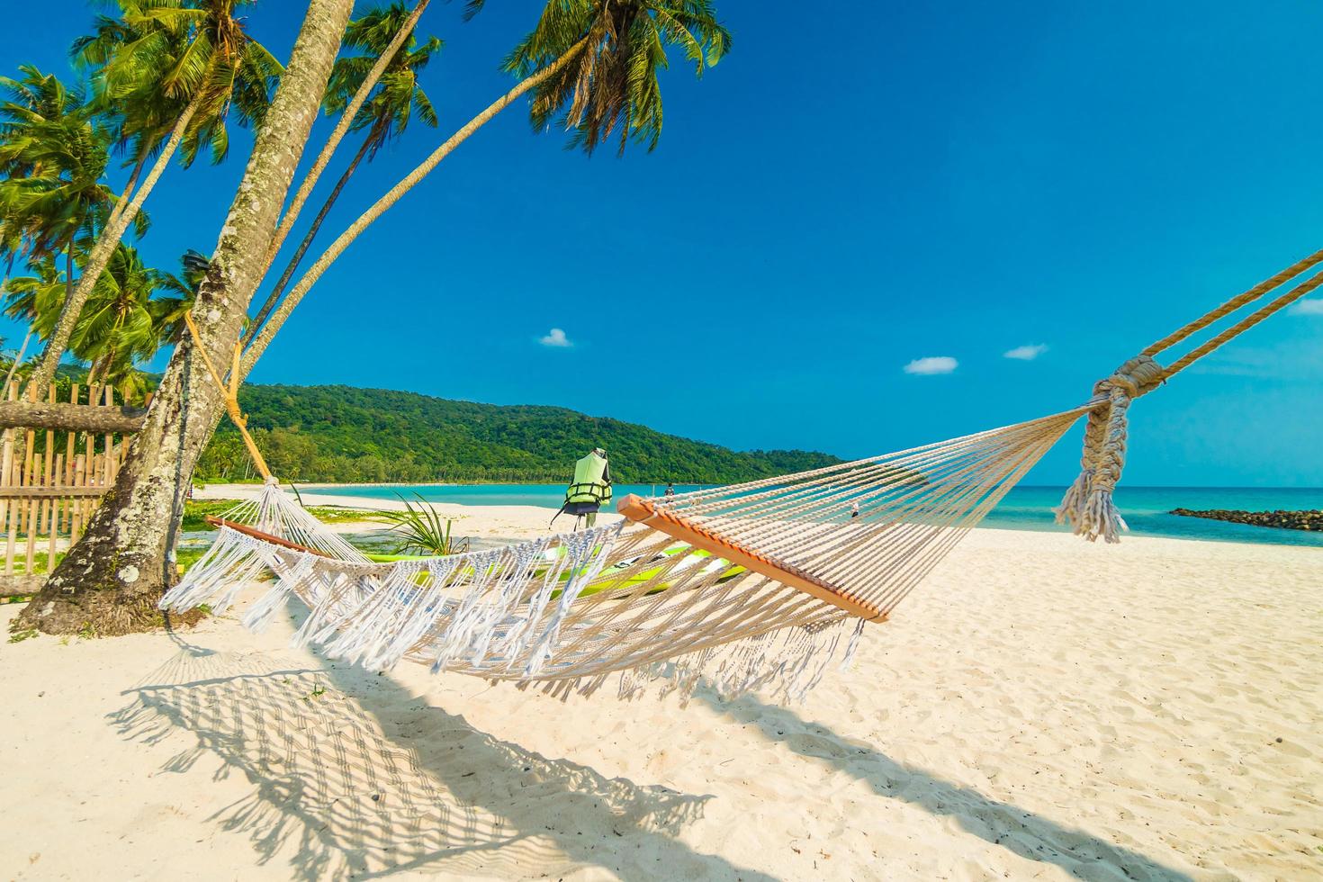 Hammock on the tropical beach photo