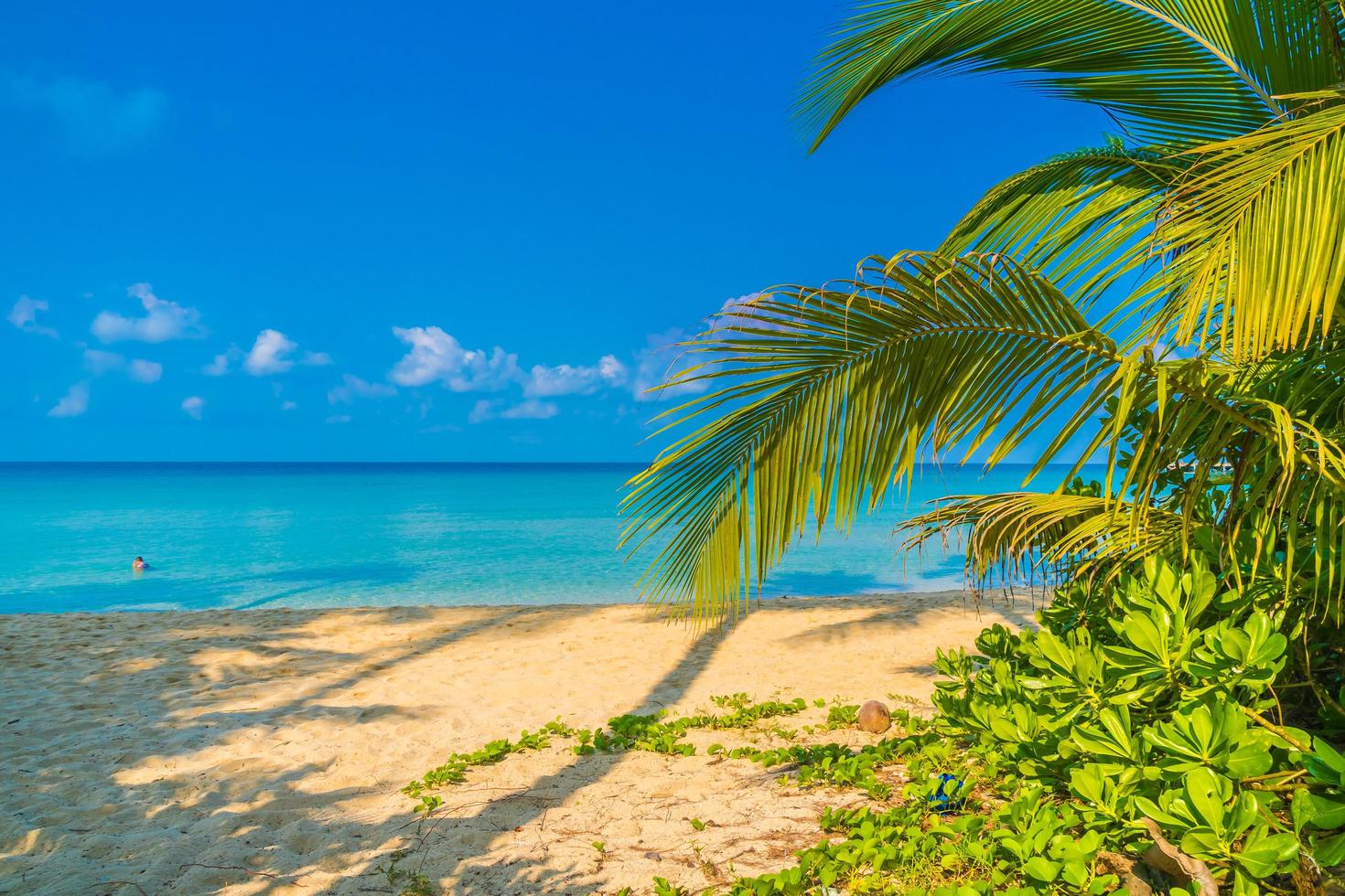 hermosa playa tropical y mar foto