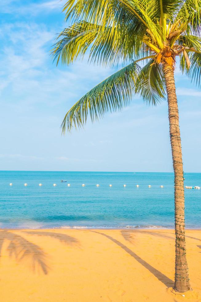 Beautiful beach and sea with palm tree photo