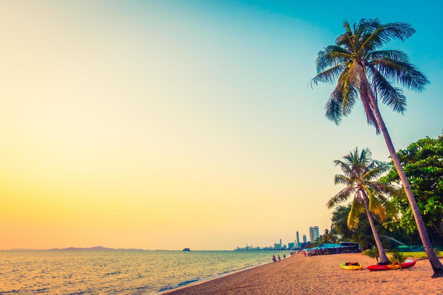 Palm tree on the beach photo