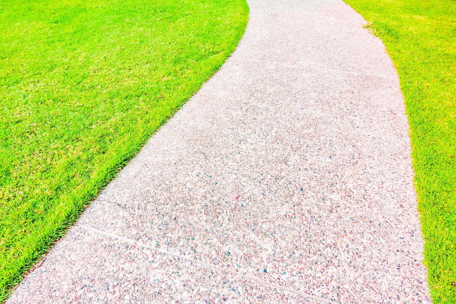 Stone path way in the garden photo