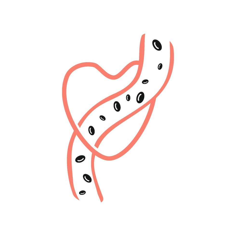 Cholesterol in artery health risk vector design Illustration