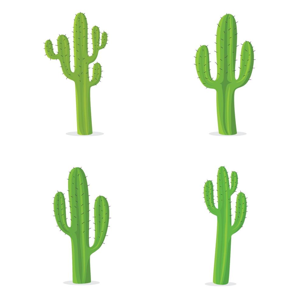 Set of green Cactus. Vector illustration