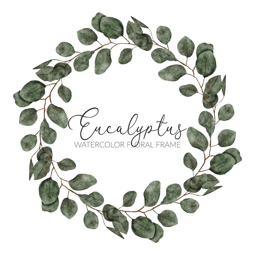 watercolor eucalyptus leaf circle wreath frame vector