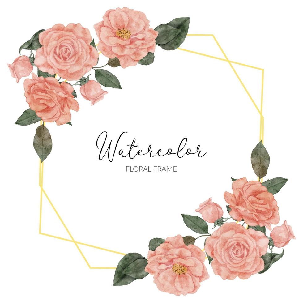 watercolor bloom peach rose flroal rustic border vector