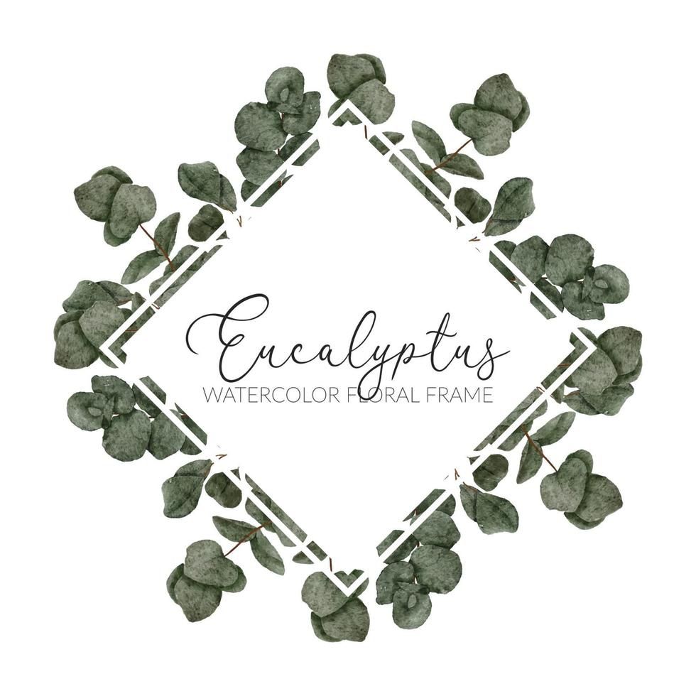 watercolor eucalyptus leaf frame border illustration vector