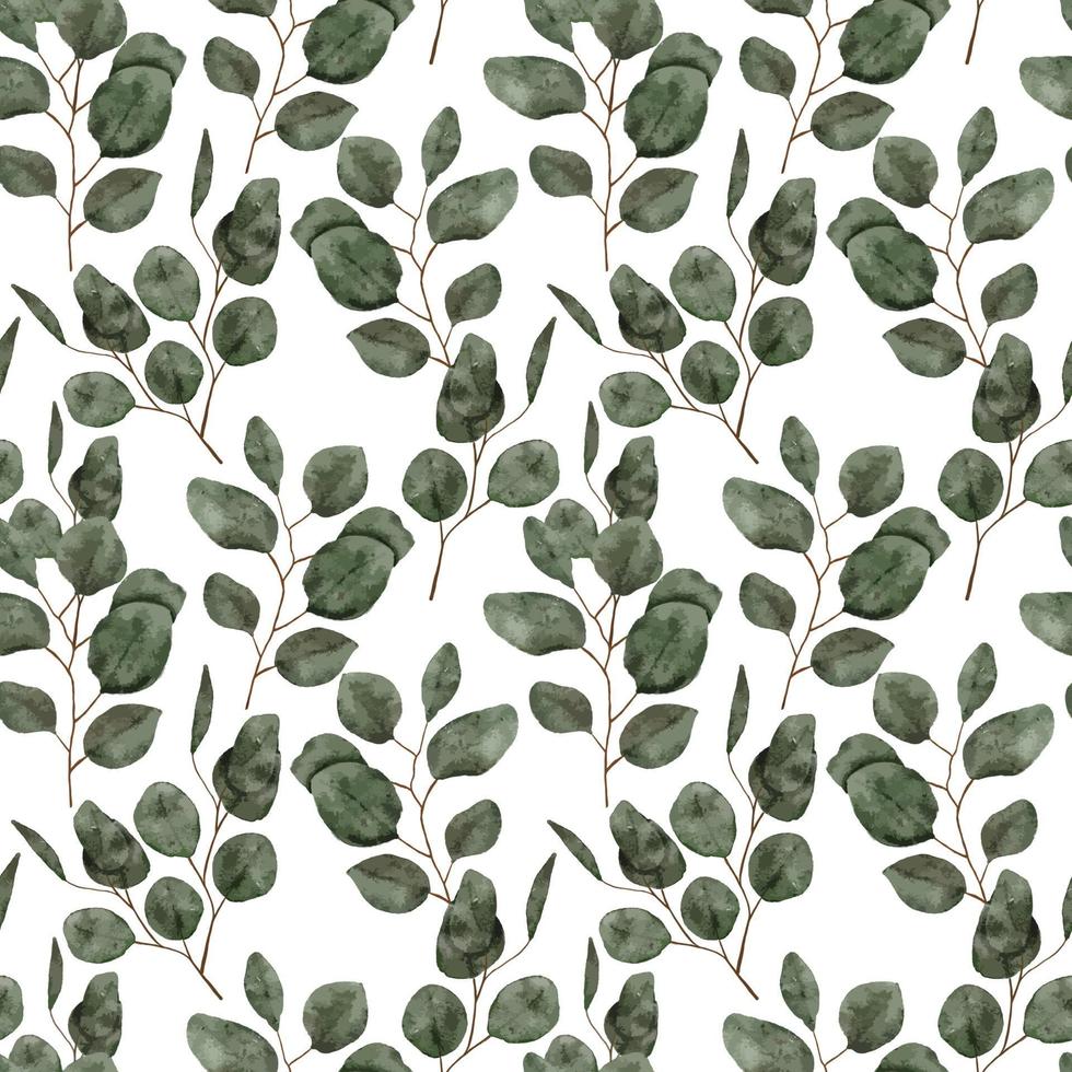 watercolor eucalyptus leaf seamless pattern vector