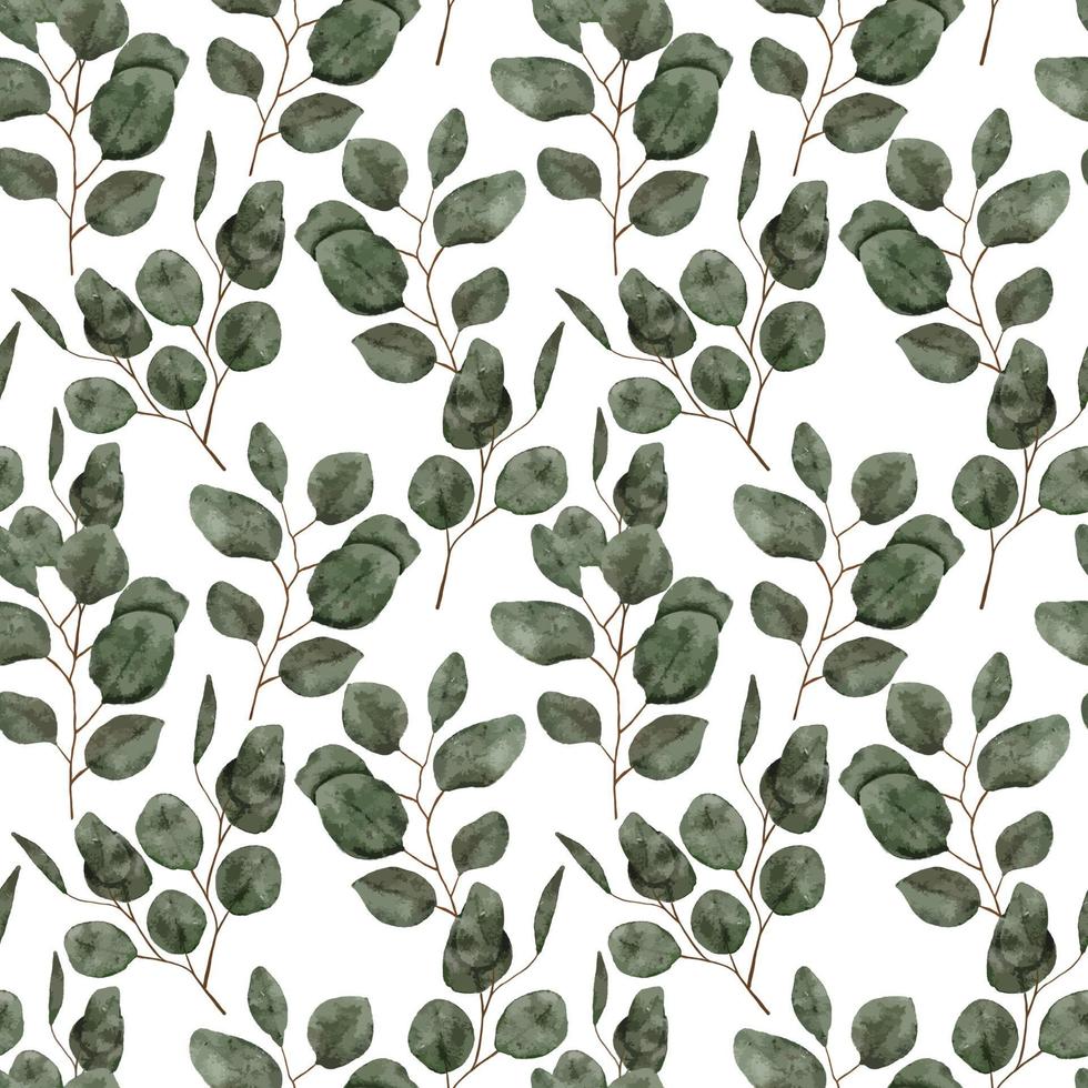 watercolor eucalyptus leaf seamless pattern vector