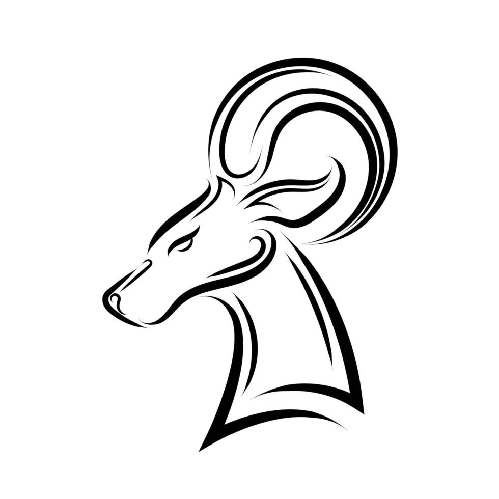 Black and white line art of Barbary sheep head. vector