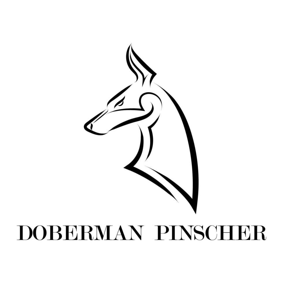Black and white line art of Doberman Pinscher dog head. vector