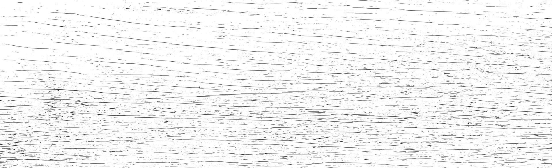 Panoramic texture of light wood with knots - Vector