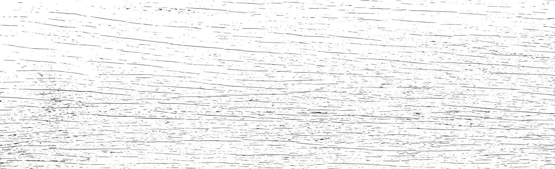 Panoramic texture of light wood with knots - Vector