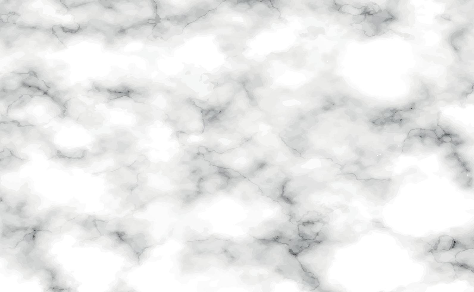 Stone texture white with black marble background - Vector