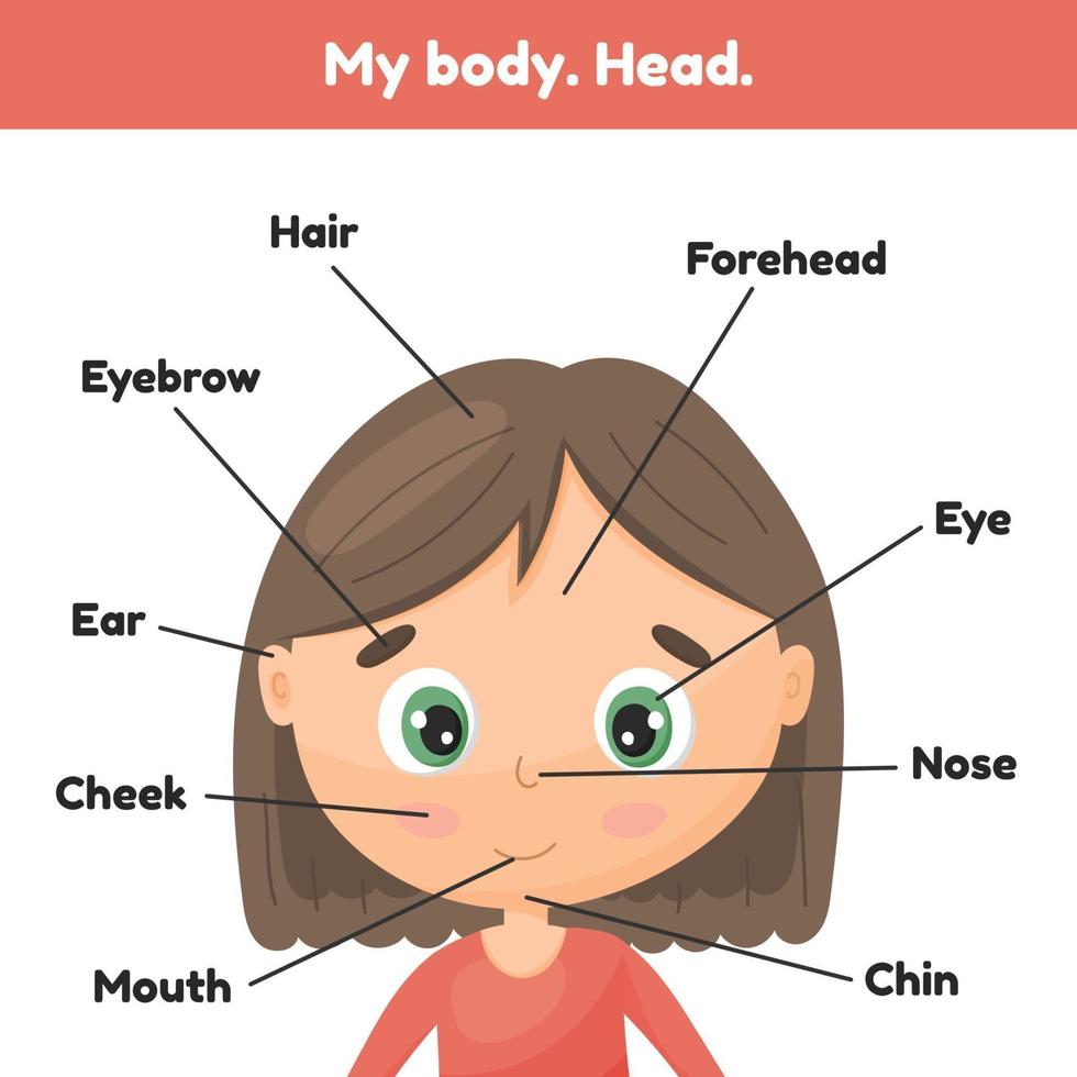 Face little cute girl. Poster head parts for leaning anatomy for kids. vector