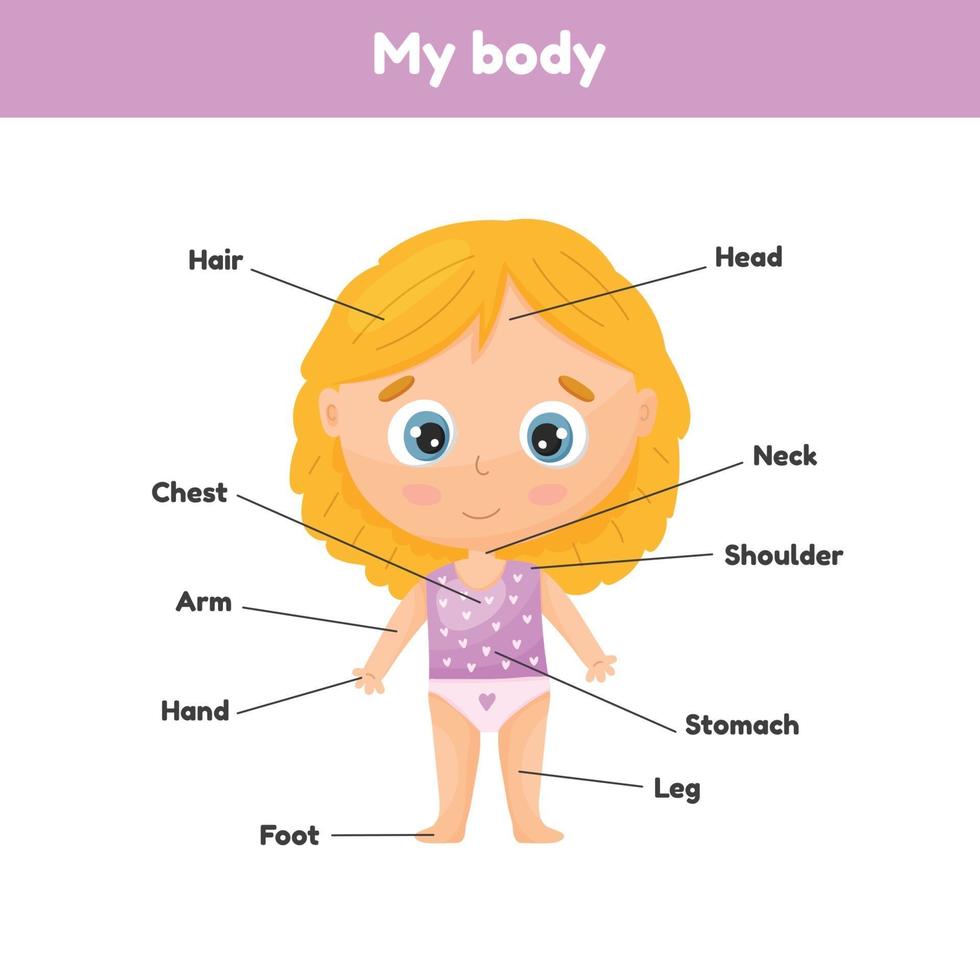 niña linda. Cartel de partes del cuerpo para anatomía inclinada para niños. 2202458 Vector en Vecteezy niña linda. Cartel de partes del cuerpo para anatomía inclinada para niños. 2202458 Vector en Vecteezy
