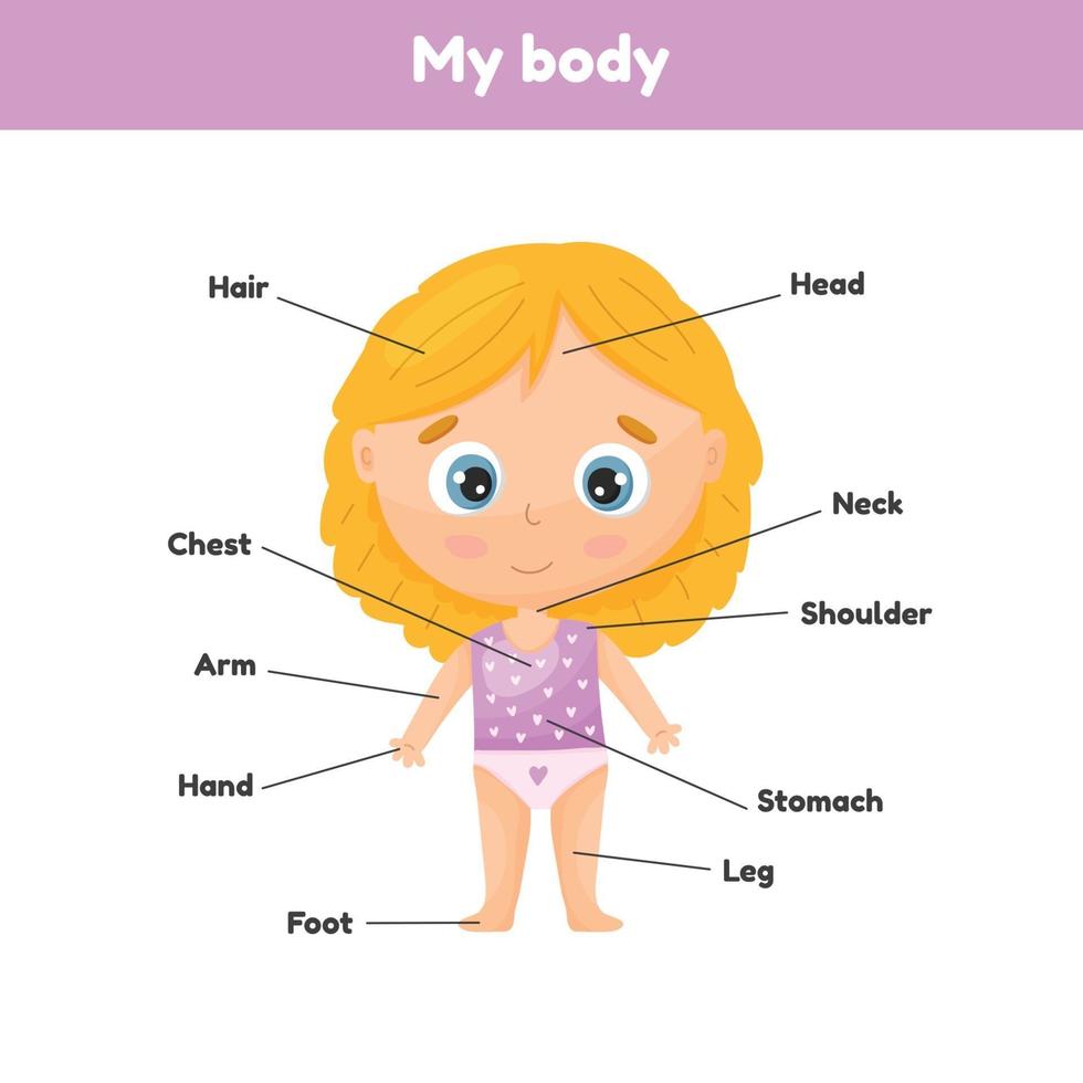 niña linda. Cartel de partes del cuerpo para anatomía inclinada para niños. vector