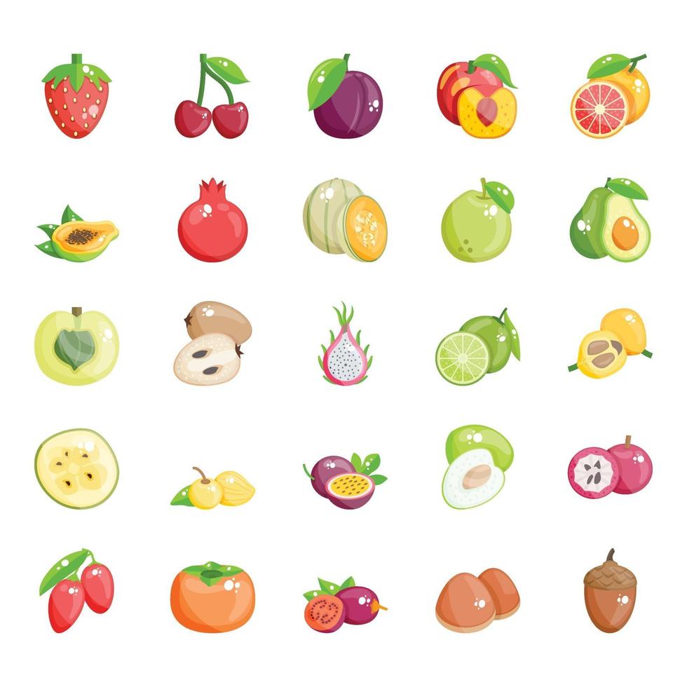 frutas de diferentes estaciones vector