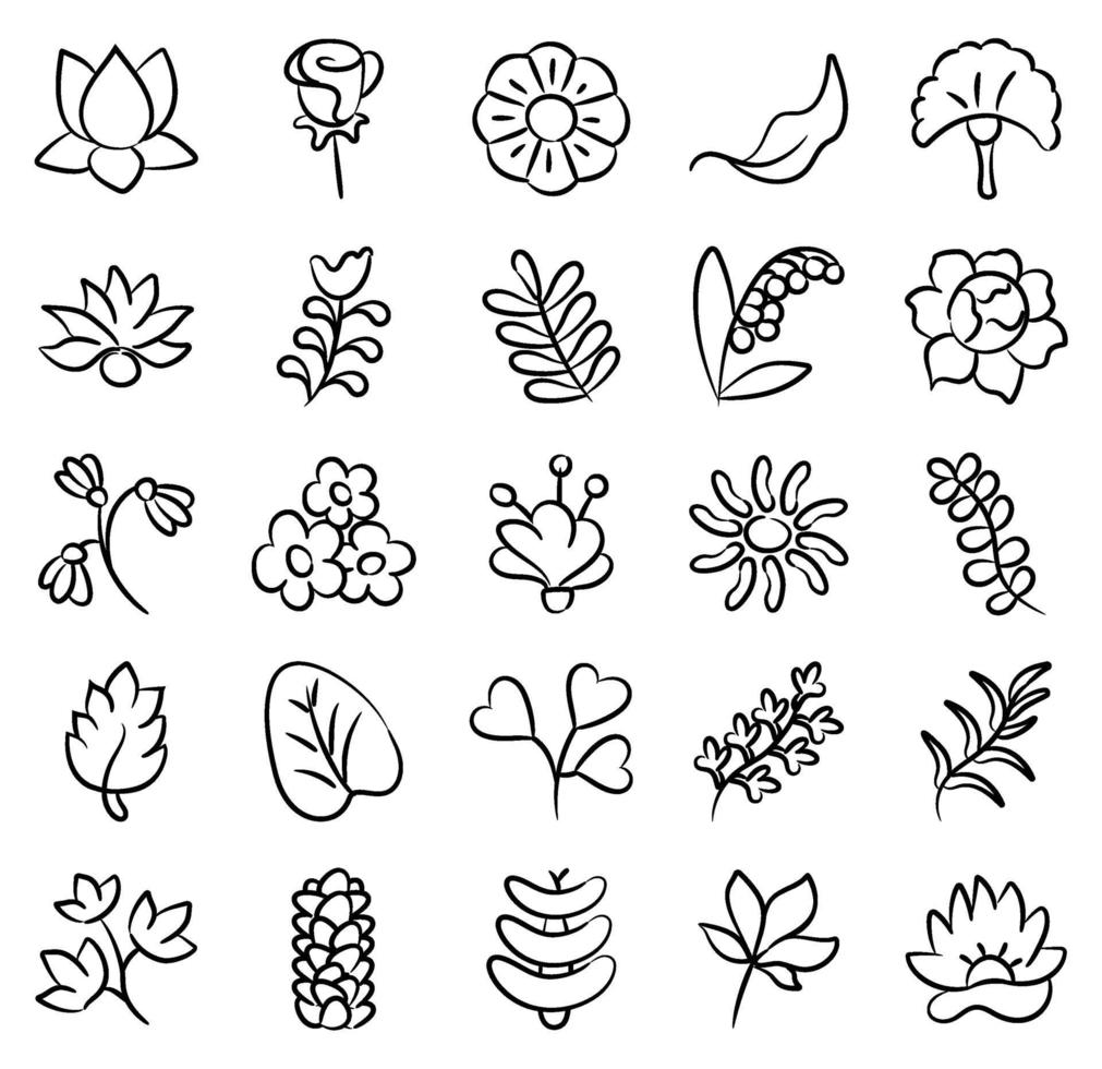 Blossom Flower Elements vector