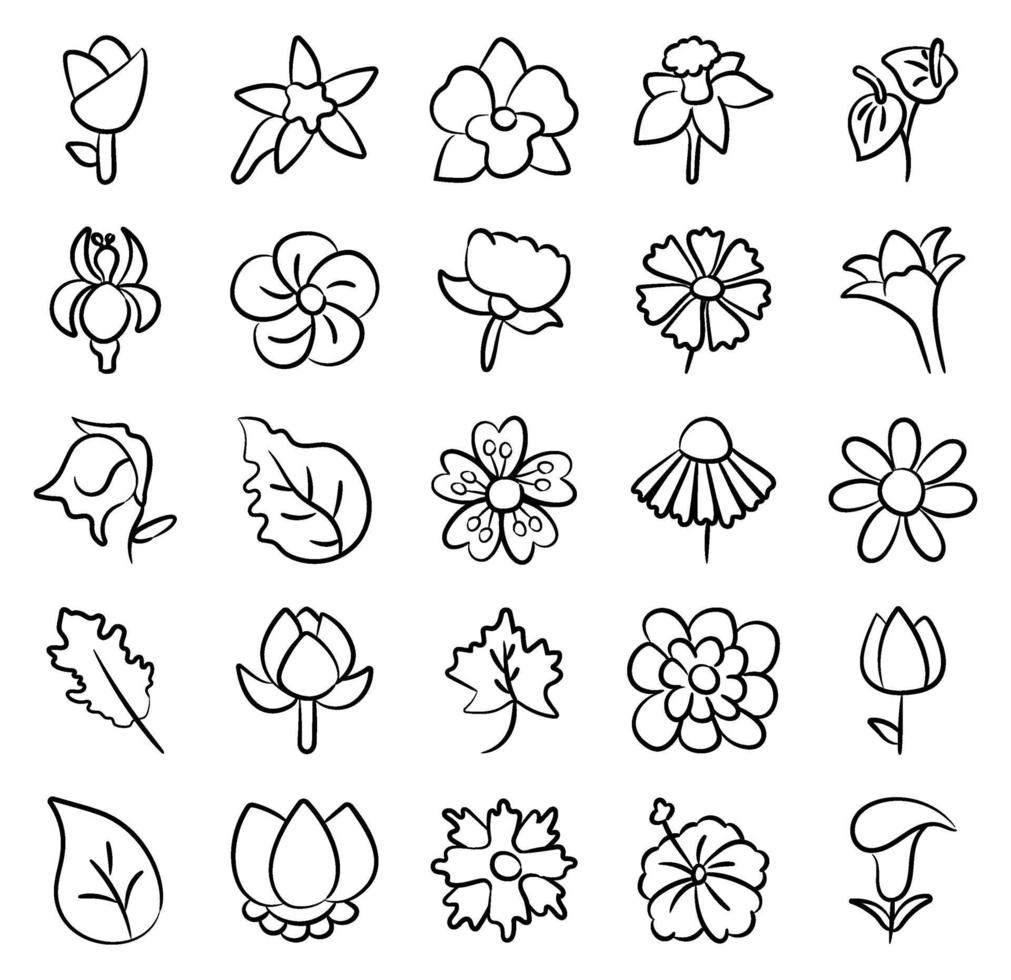 Blossom Flower Elements vector