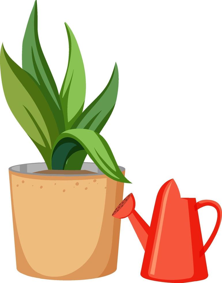 Plant in a pot with red watering can vector