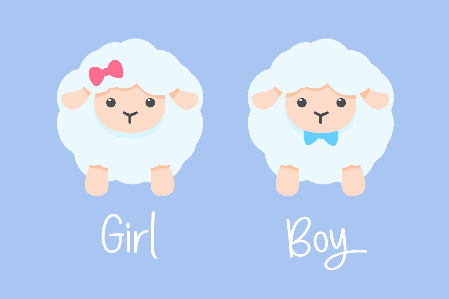 Vector cartoon male and female sheep decorated with bows Cute lambs for skis on baby clothes.