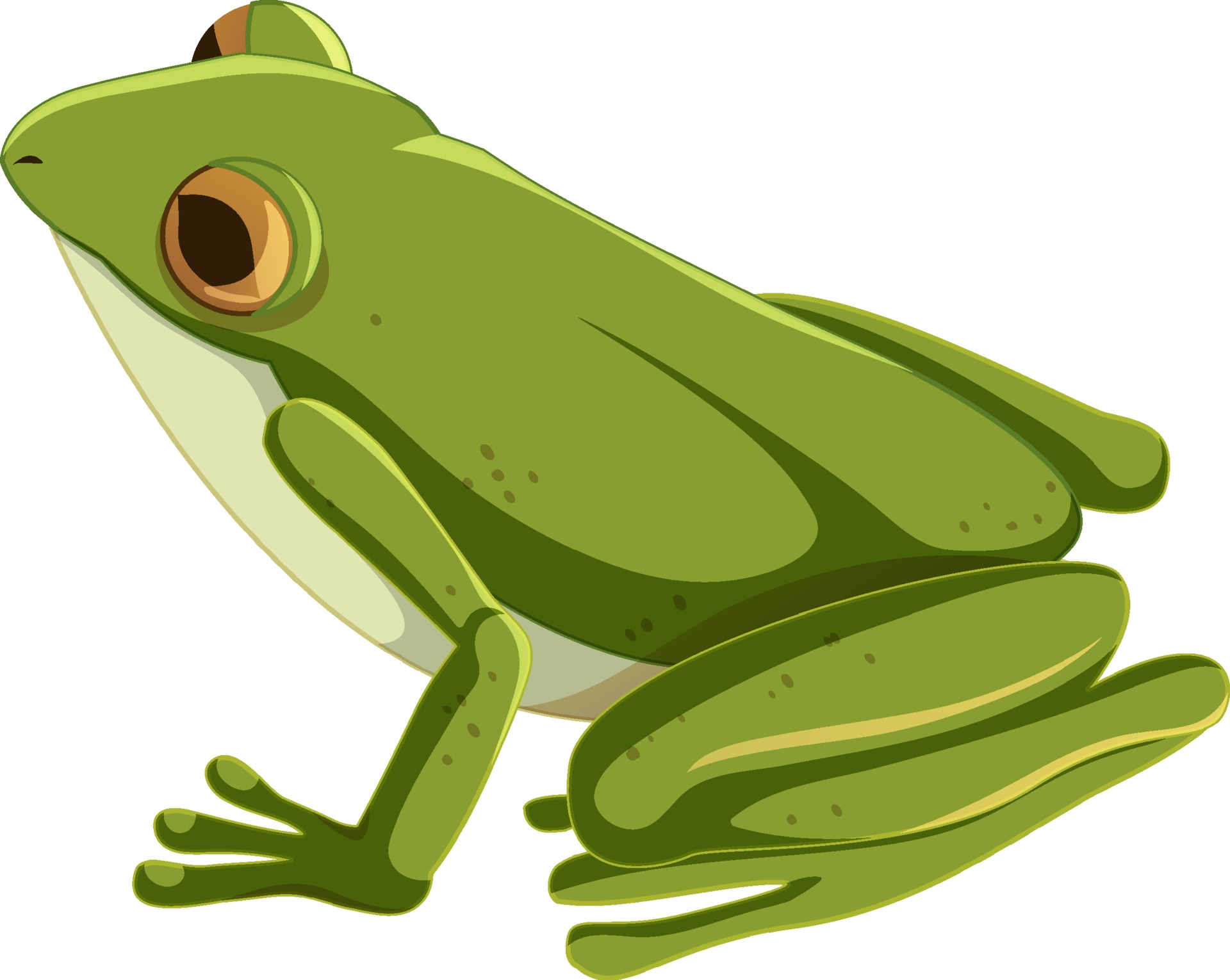 Green frog cartoon character isolated 2203265 Vector Art at Vecteezy