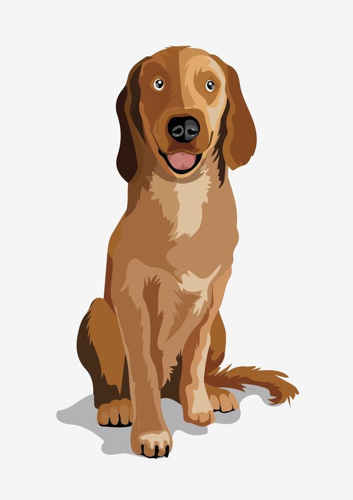 Cute beautiful brown dog. Ridgeback or little bulldog. A beautiful white dog sitting on a ground. Isolated. vector