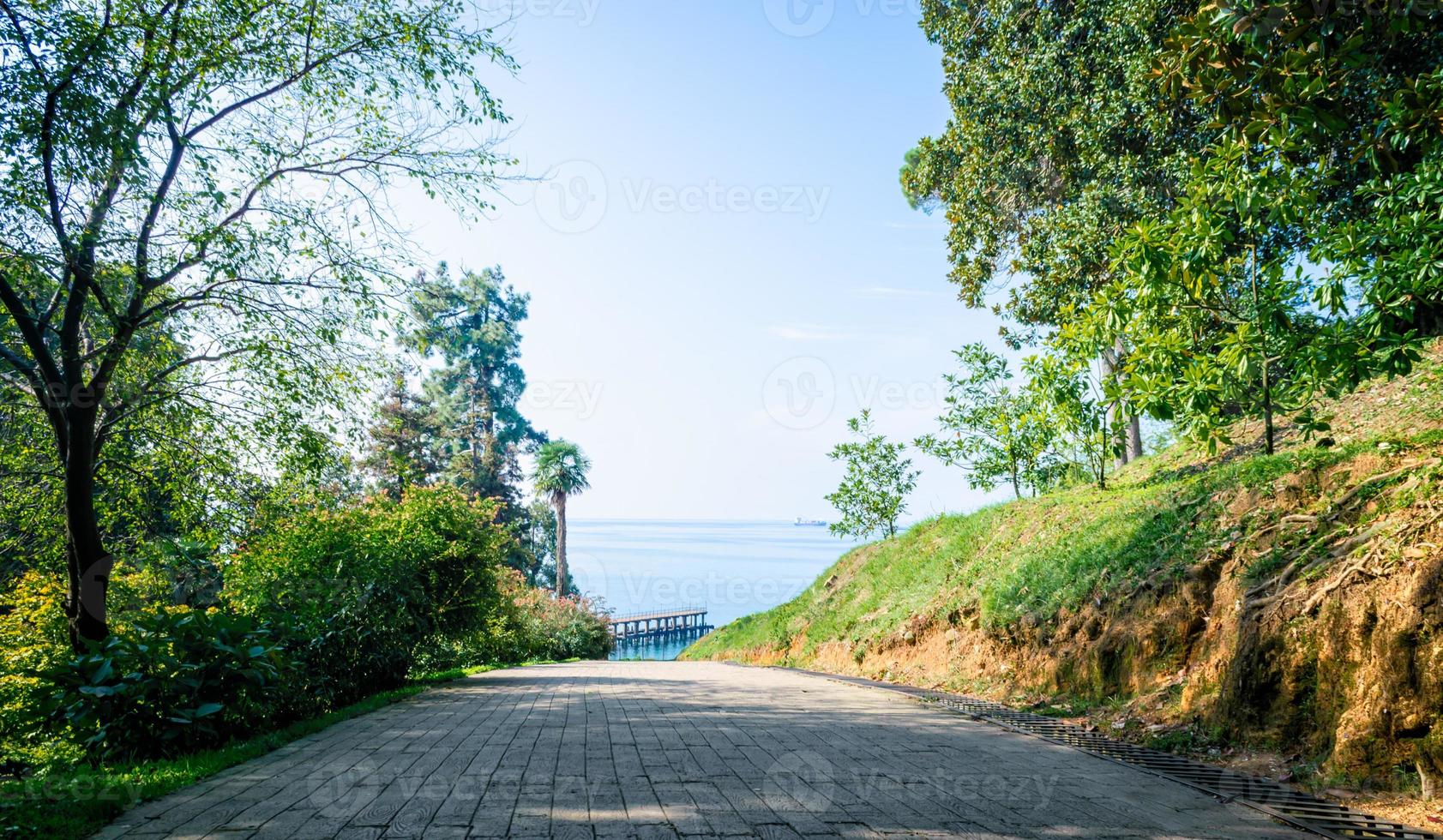 camino en un parque con vista al mar foto