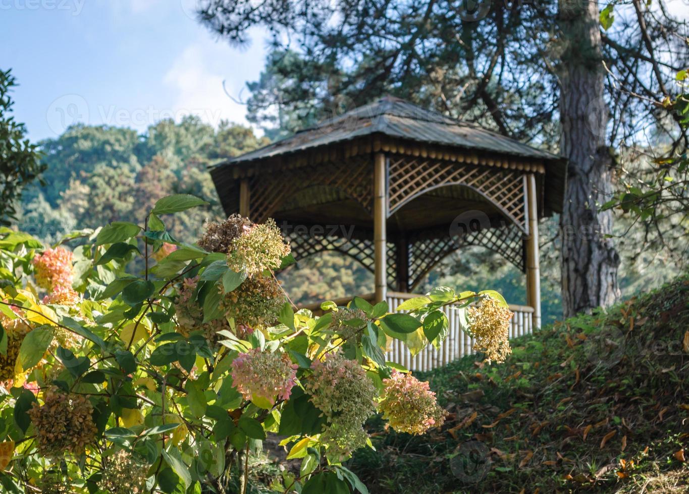 Gazebo in a garden photo